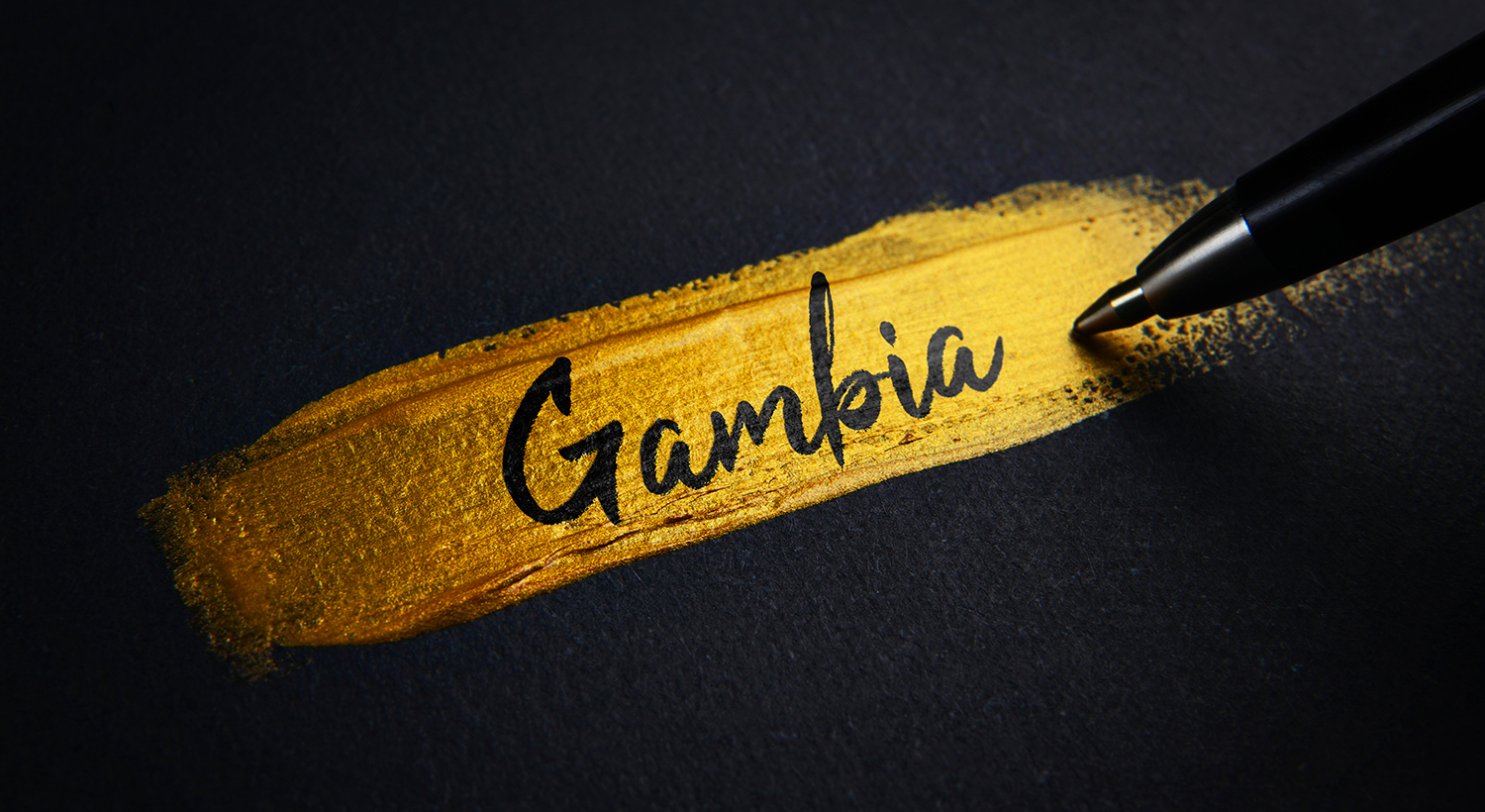 Gambia Gold Brush