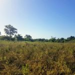 GamRealty Gambia land for sale sanyang