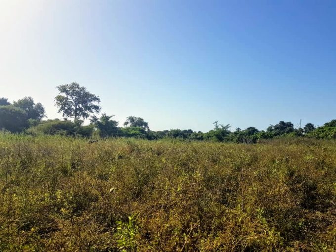 GamRealty Gambia land for sale sanyang