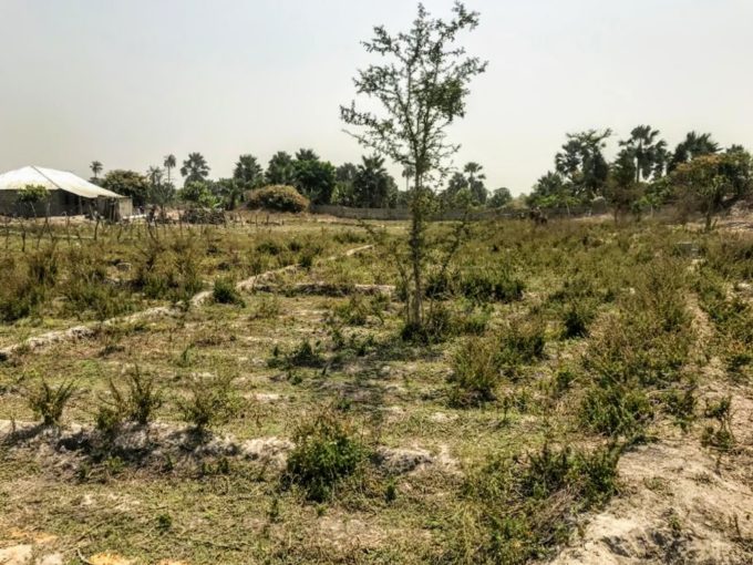 How Safe is the Gambia? Tourist Guide GamRealty