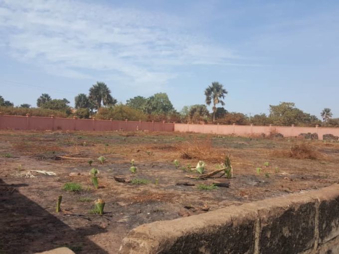 GamRealty Buy land in Gambia Gunjur