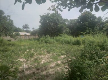 Prime plot of land for sale in Gunjur the Gambia