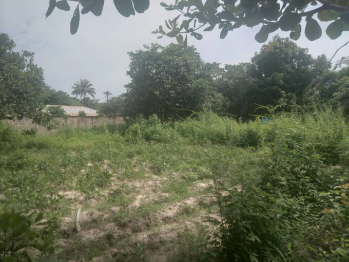 Prime plot of land for sale in Gunjur the Gambia