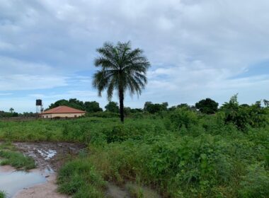 PLOT OF LAND FOR SALE IN SANYANG THE GAMBIA