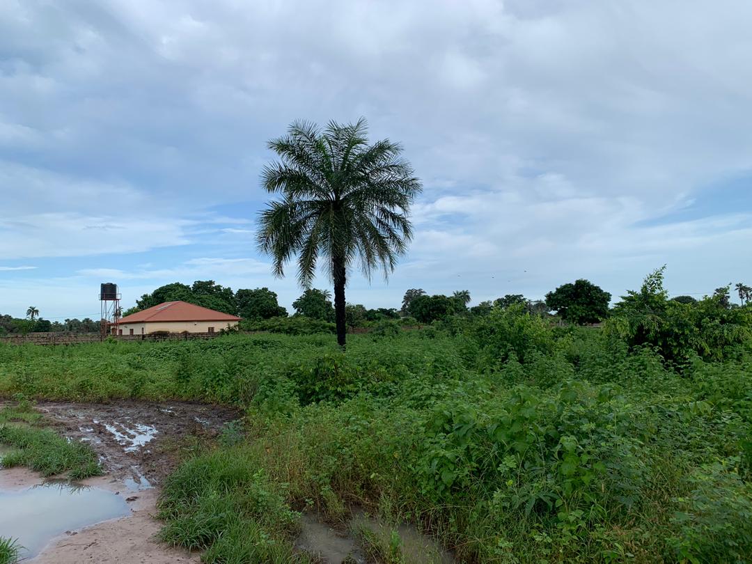 310 m2 Plot of Land for Sale in Sanyang - The Gambia | GAMREALTY