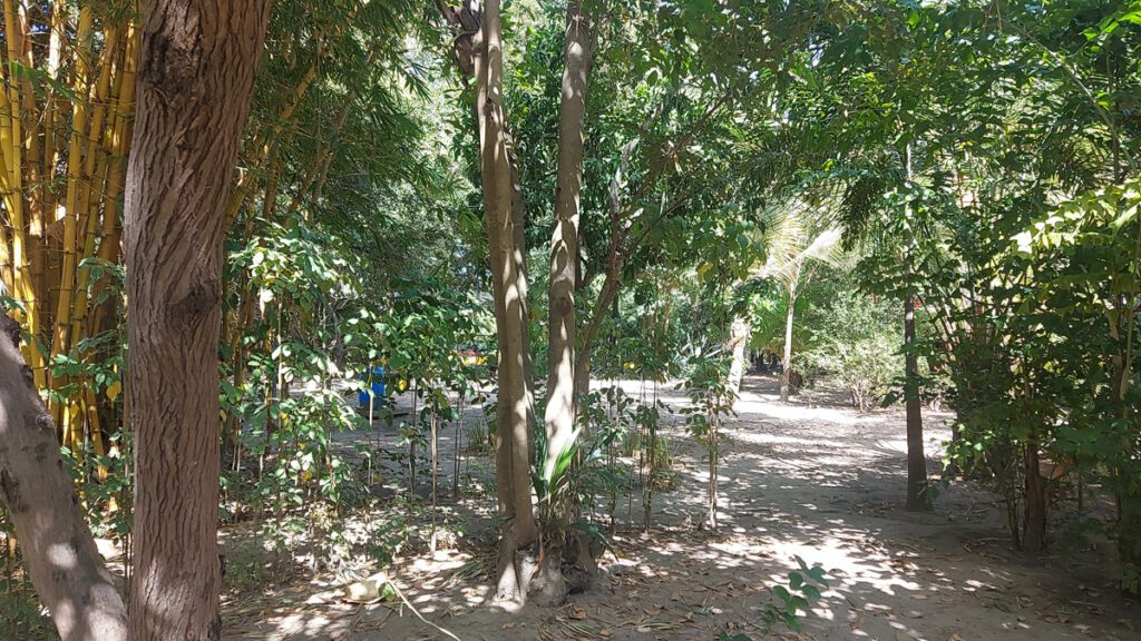 10.000 M2 Green Oasis For Sale | Keninding Saibali - Sanyang | GAMREALTY