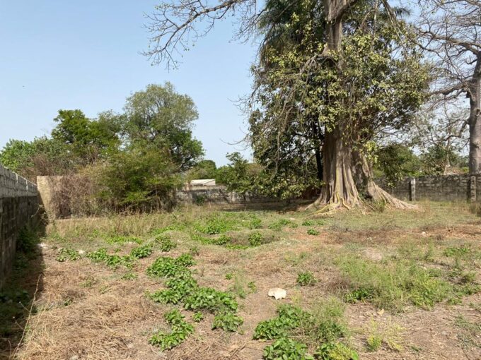 GamRealty Prime Fenced Land for sale in Sanyang The Gambia