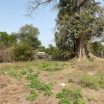 GamRealty Prime Fenced Land for sale in Sanyang The Gambia