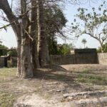 GamRealty Prime Fenced Land for sale in Sanyang The Gambia