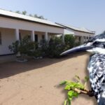 Gamrealty Eco Birdwatching lodge for sale in The Gambia