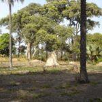 Gamrealty Plots for sale in Sanyang Gambia Close to beach