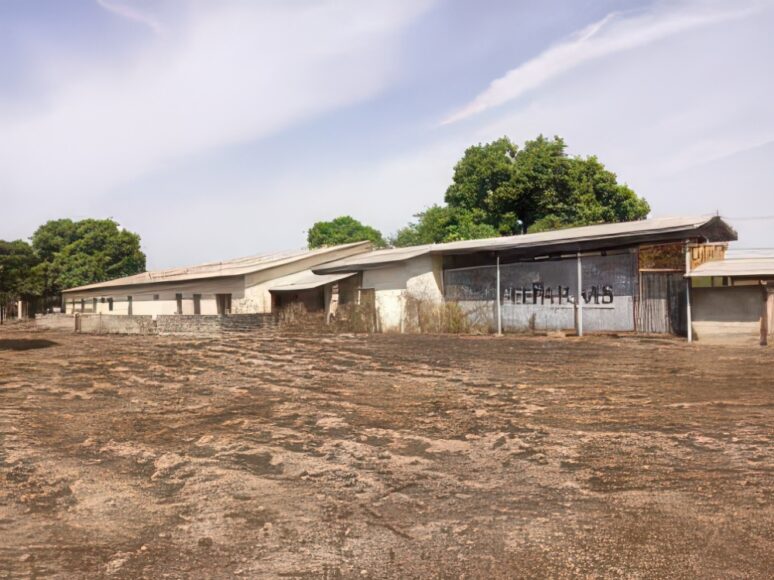 Gamrealty Poultry Farm For Sale The Gambia
