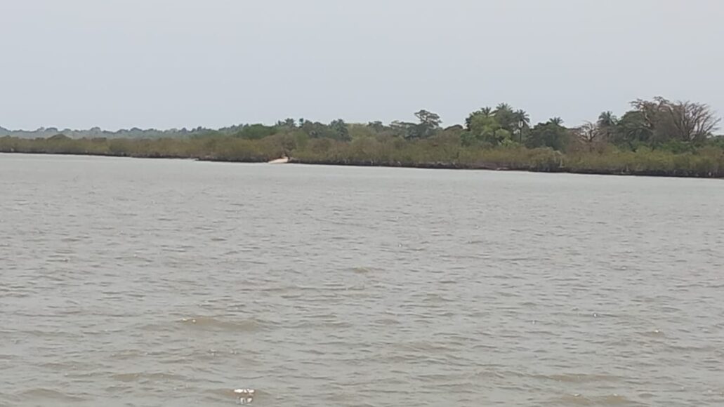 Gamrealty Gambia river plot for sale 15 hectare Albreda