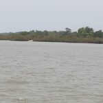 Gamrealty Gambia river plot for sale 15 hectare Albreda
