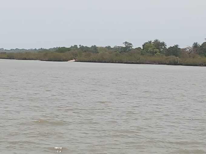 Gamrealty Gambia river plot for sale 15 hectare Albreda